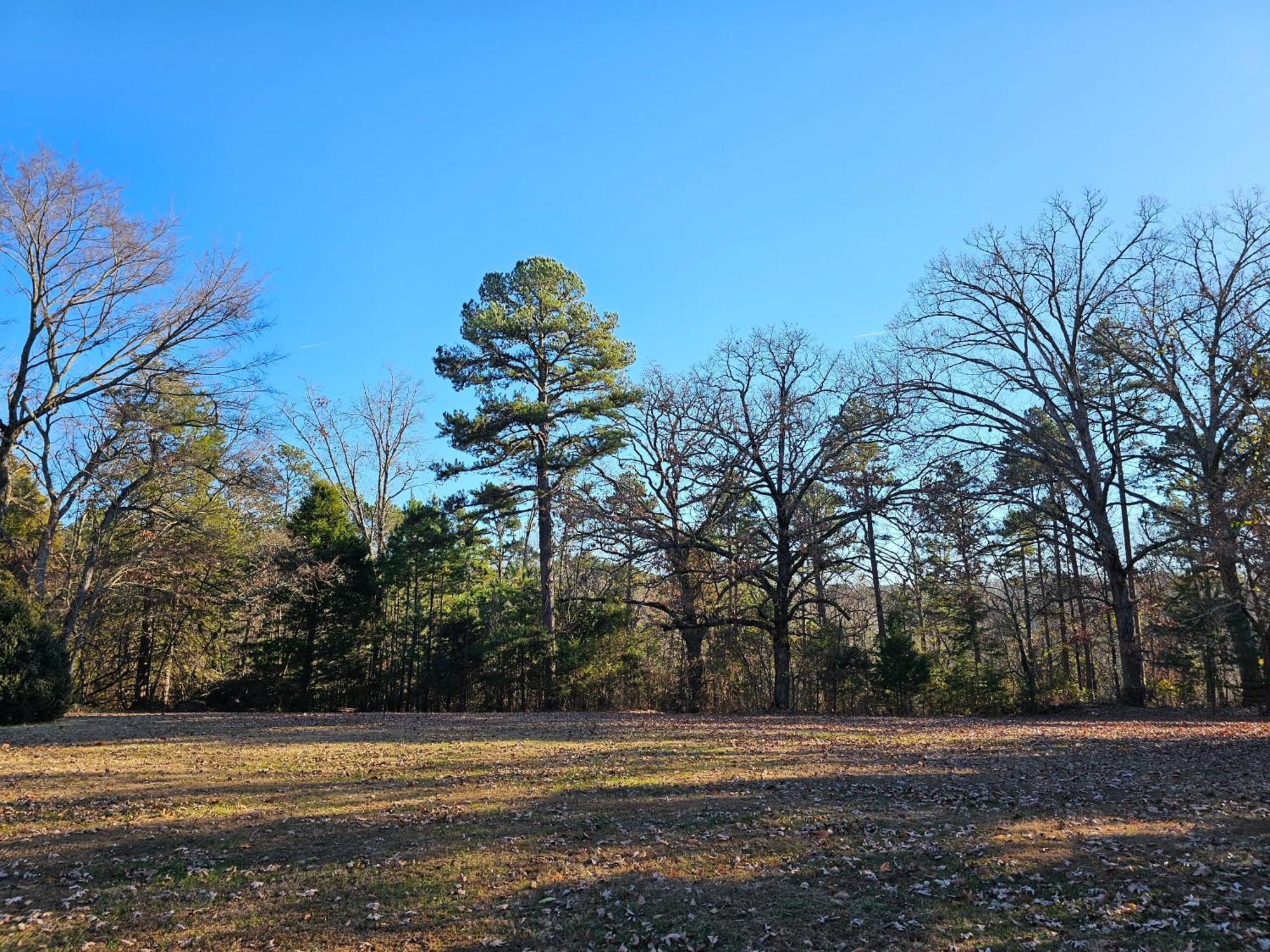 5 Min To Beaver Lake-King Bed-Fire Pit-Jetted Tub #1 Eureka Springs Bagian luar foto